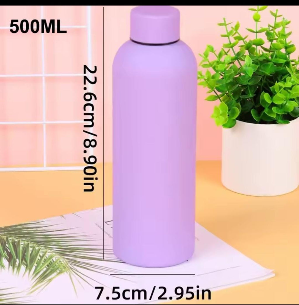 Stainless steel thermo bottle